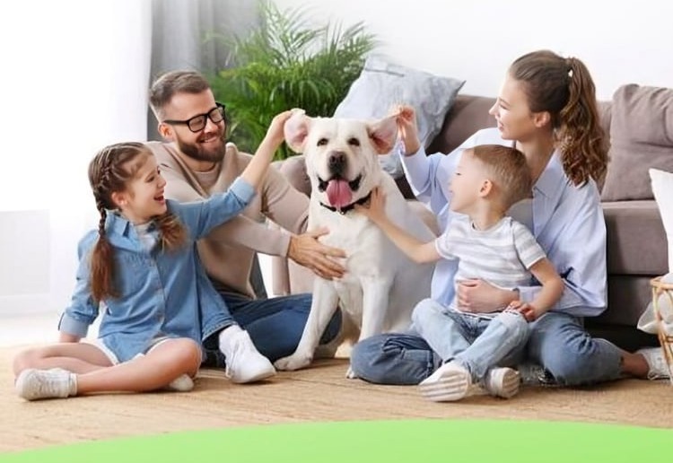 Clairu Air Purifier